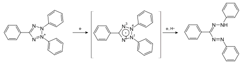Reduktion des Triphenyltetrazoliumchlorid über ein Tetrazolium-Radikal zum Formazan