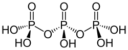 Strukturformel von Triphosphorsäure