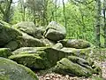 Am steil zum Weschnitztal hin abfallenden Trommhang findet man eine große Zahl mächtiger Felsburgen und Blockhalden, z.&nbsp;B. die Lindenstein-Tromm-Granit-Formation.