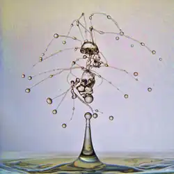 Tropfen-Chaos