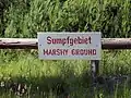 Sumpfige Naturlandschaft