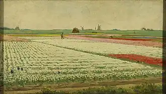 Tulpenvelden