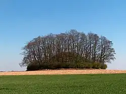 Tumulus d’Hottomont