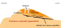 Querschnitt