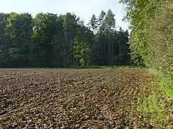 Wp 4/47