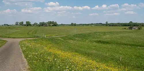 Zwischen Welsumerveld und Terwolde, Blick vom IJsseldijk