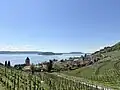 Blick aus Norden, vorne Twann