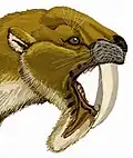 Eine künstlerische Interpretation von Thylacosmilus