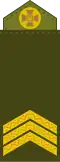 Сержант (Sergeant)