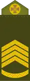 Головний сержант (Chief Sergeant)