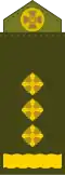Полковник (Oberst)