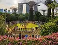 United Buddy Bears in Singapore, Gardens by the Bay (2025)