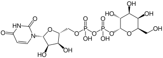 Strukturformel von UDP-Galactose
