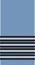 Group Captain der Royal Air Force