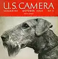 Professionelles Terrier-Portrait, um 1938