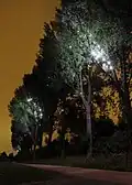Lichtinszenierung am Abend