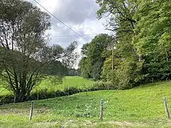 Naturschutzgebiet Uelfetal bei Scheidt