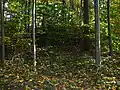 Ansicht von Norden