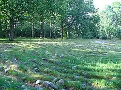 Ulmekärr