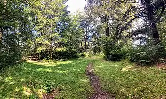 am Ulrichshügel