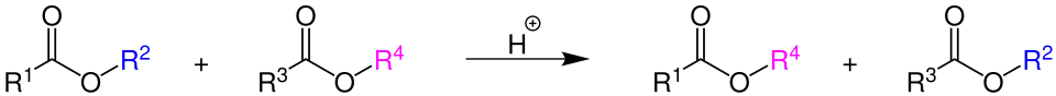 säurekatalysierte Umesterung von zwei Carbonsäuren