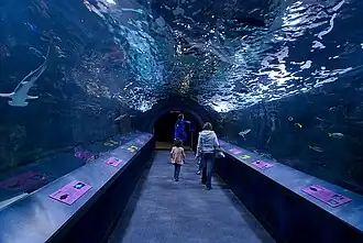 Unterwassertunnel