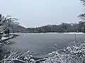 Unterer Scheuerteich: Ein frei zugänglicher Teich, der auf einem Weg umwandert werden kann.