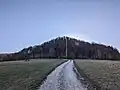 Blick auf den Unteren Leimberg mit Burgstelle