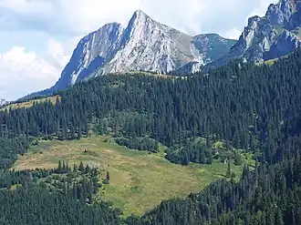 Von der Alm Polana Stoły