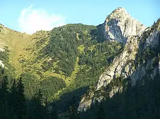 Vom Wanderweg