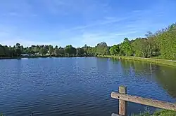 Weiher, Westufer