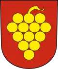 Winikon-Gschwader
