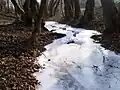 Váraljai-árok im Winter