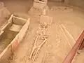 Viminacium