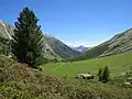 Italienische Seite mit Val d'Avigna