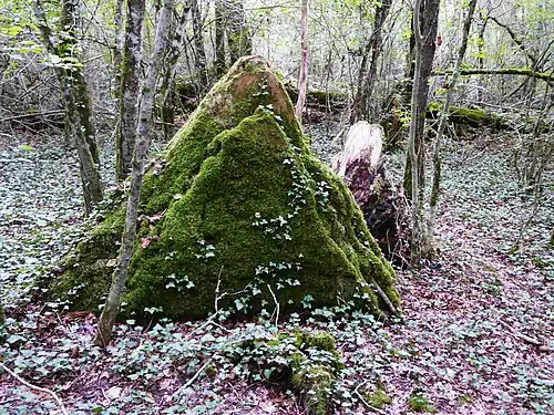 Megalith von Les Coutoux