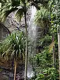 Wasserfall im Vallée de Mai