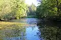 Der Feisternachtsee