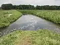 Einmündung der Steinfurter Aa (rechts) in die Vechte (links) in Bilk