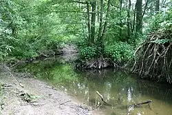 Oberlauf der Vechte