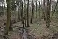 Nettezufluss in Vehrte