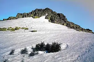 Gipfelfelsen des Veilchensteins
