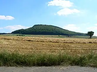 Der Veitskopf nahe Wassenach