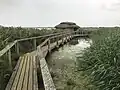 Holzsteg durch den Sumpf/Schilfgürtel und eine der Hütten zur Vogelbeobachtung