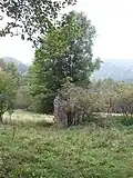 Vejprty-Grund, Ruinen an der ehemaligen Jöhstädter Straße (2017)