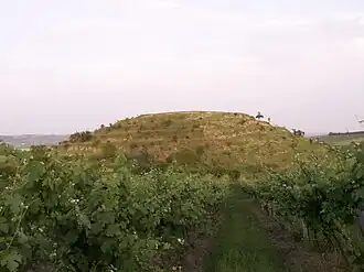 Velká Slunečná