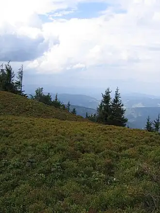 Veľká Rača