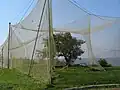 Vogelwarte