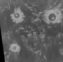 Die Krater Danilova (oben links), Aglaonice (oben rechts) und Saskia (unten) auf der Venus