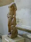 Venus mit Delphin